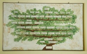 Museo casa natale Giacomo Puccini, fondo dell'Anna